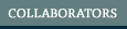 Collaborators