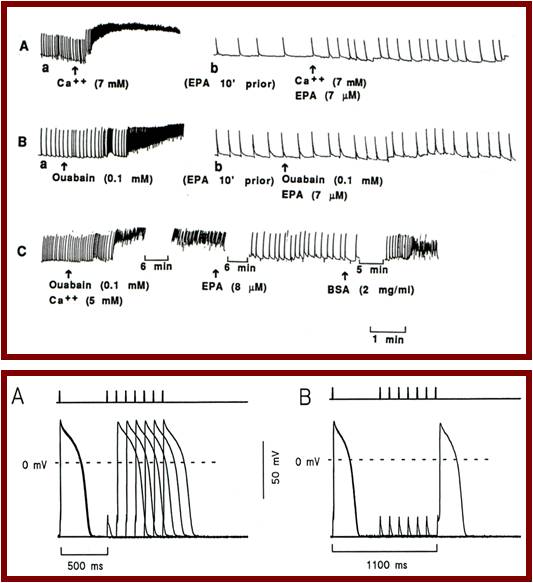 Cardioprotective