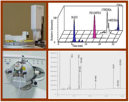 Lipid Analysis