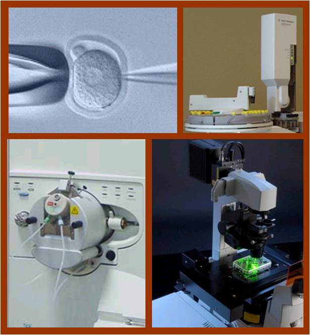 Lipid Technology
